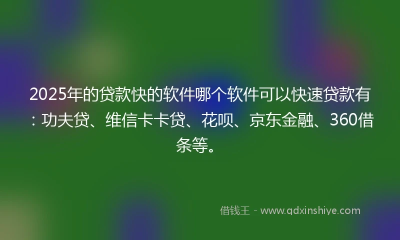 2025年的贷款快的软件哪个软件可以快速贷款有：功夫贷、维信卡卡贷、花呗、京东金融、360借条等。