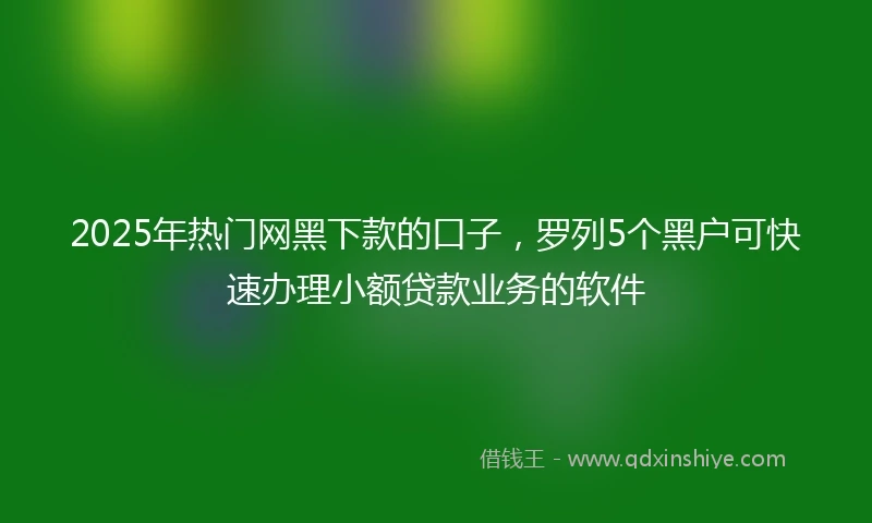 2025年热门网黑下款的口子，罗列5个黑户可快速办理小额贷款业务的软件