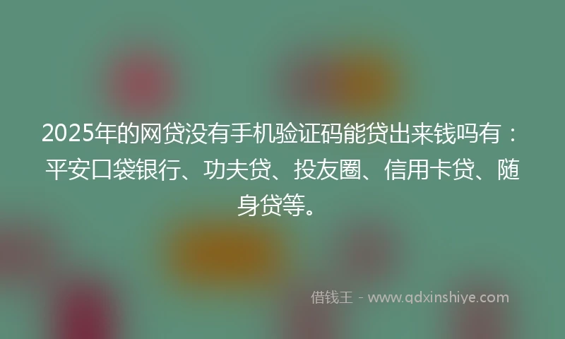 2025年的网贷没有手机验证码能贷出来钱吗有：平安口袋银行、功夫贷、投友圈、信用卡贷、随身贷等。