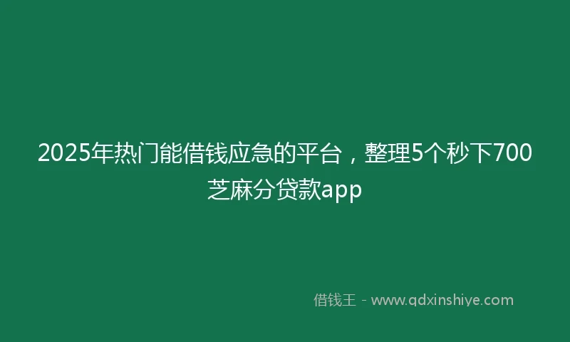 2025年热门能借钱应急的平台，整理5个秒下700芝麻分贷款app