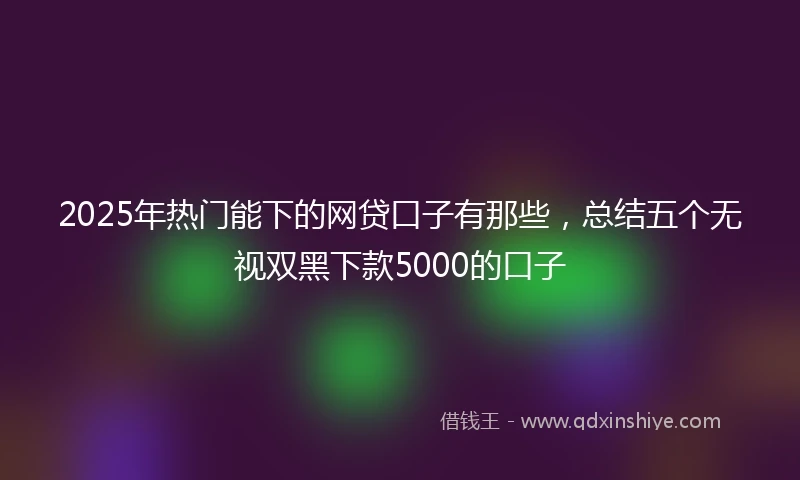 2025年热门能下的网贷口子有那些，总结五个无视双黑下款5000的口子