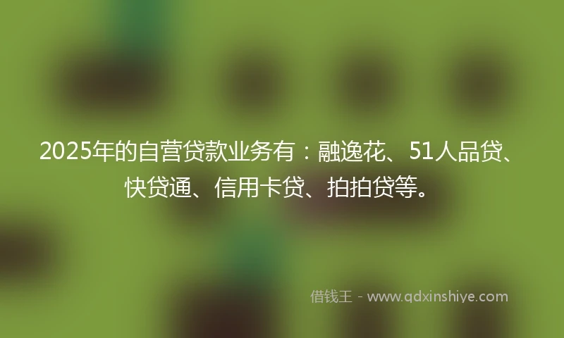 2025年的自营贷款业务有：融逸花、51人品贷、快贷通、信用卡贷、拍拍贷等。