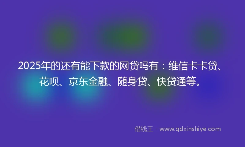 2025年的还有能下款的网贷吗有：维信卡卡贷、花呗、京东金融、随身贷、快贷通等。