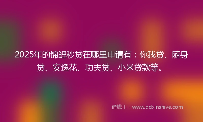 2025年的锦鲤秒贷在哪里申请有：你我贷、随身贷、安逸花、功夫贷、小米贷款等。