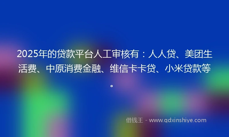 2025年的贷款平台人工审核有：人人贷、美团生活费、中原消费金融、维信卡卡贷、小米贷款等。