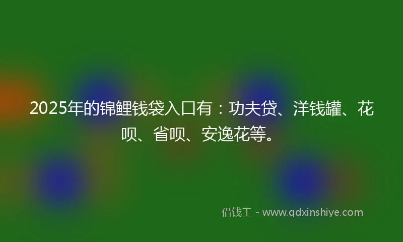 2025年的锦鲤钱袋入口有：功夫贷、洋钱罐、花呗、省呗、安逸花等。