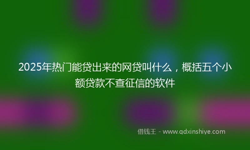 2025年热门能贷出来的网贷叫什么，概括五个小额贷款不查征信的软件