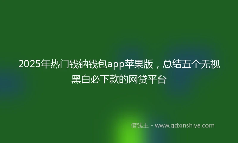 2025年热门钱钠钱包app苹果版，总结五个无视黑白必下款的网贷平台