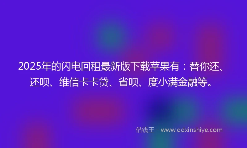 2025年的闪电回租最新版下载苹果有：替你还、还呗、维信卡卡贷、省呗、度小满金融等。