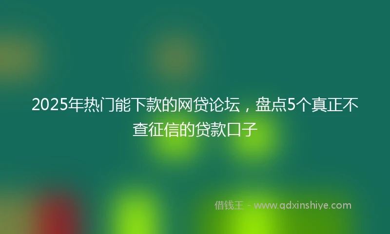 2025年热门能下款的网贷论坛，盘点5个真正不查征信的贷款口子