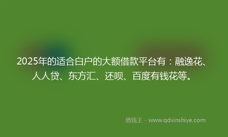 2025年的适合白户的大额借款平台有：融逸花、人人贷、东方汇、还呗、百度有钱花等。