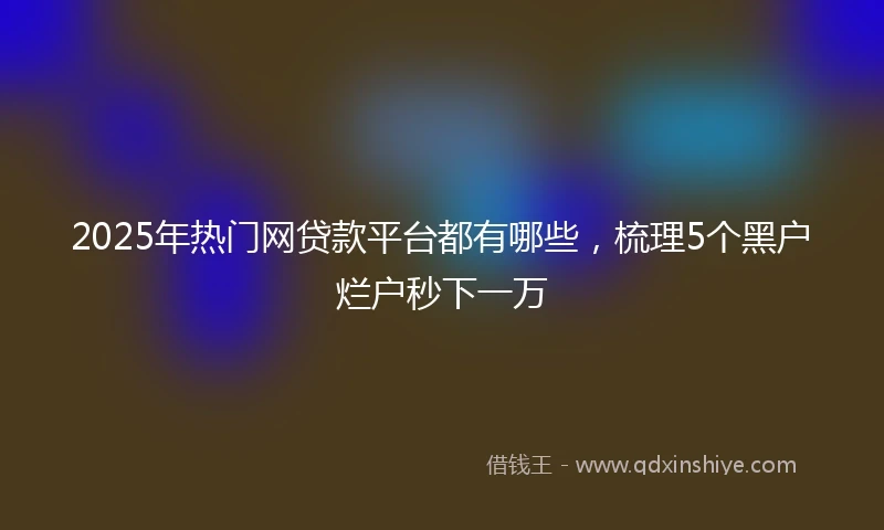2025年热门网贷款平台都有哪些，梳理5个黑户烂户秒下一万