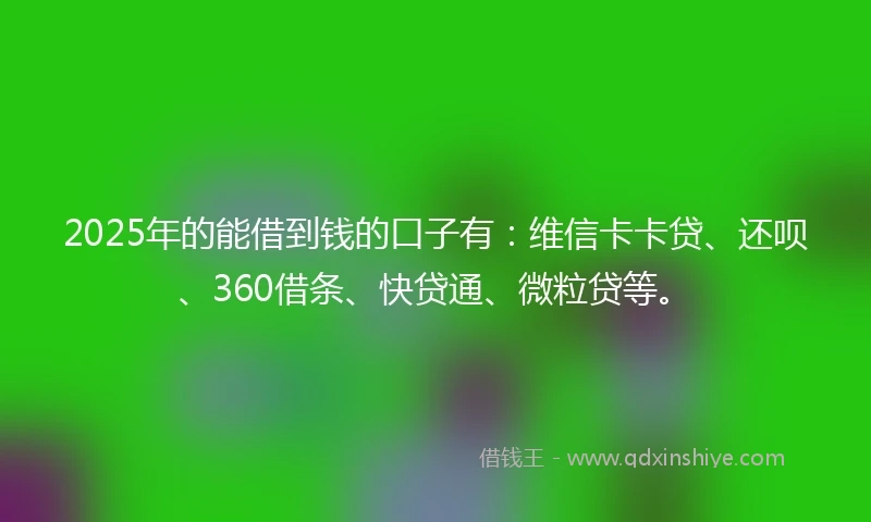 2025年的能借到钱的口子有：维信卡卡贷、还呗、360借条、快贷通、微粒贷等。