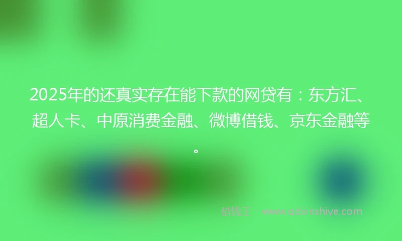 2025年的还真实存在能下款的网贷有：东方汇、超人卡、中原消费金融、微博借钱、京东金融等。