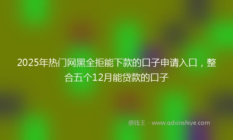 2025年热门网黑全拒能下款的口子申请入口，整合五个12月能贷款的口子