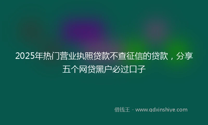 2025年热门营业执照贷款不查征信的贷款，分享五个网贷黑户必过口子