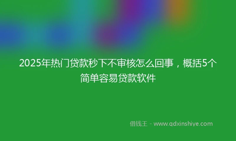 2025年热门贷款秒下不审核怎么回事，概括5个简单容易贷款软件