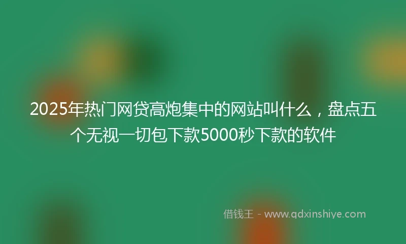 2025年热门网贷高炮集中的网站叫什么，盘点五个无视一切包下款5000秒下款的软件