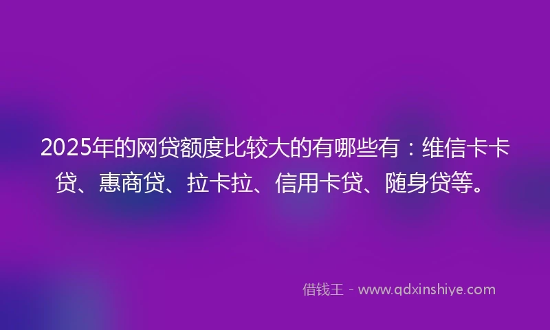2025年的网贷额度比较大的有哪些有：维信卡卡贷、惠商贷、拉卡拉、信用卡贷、随身贷等。