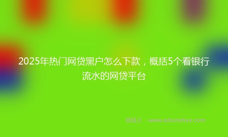 2025年热门网贷黑户怎么下款，概括5个看银行流水的网贷平台