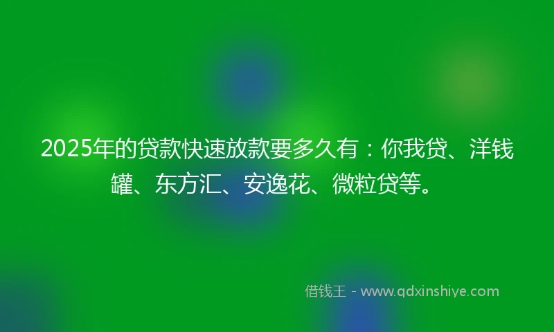 2025年的贷款快速放款要多久有：你我贷、洋钱罐、东方汇、安逸花、微粒贷等。