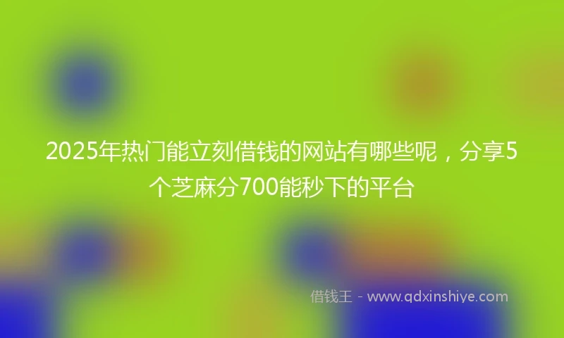 2025年热门能立刻借钱的网站有哪些呢，分享5个芝麻分700能秒下的平台