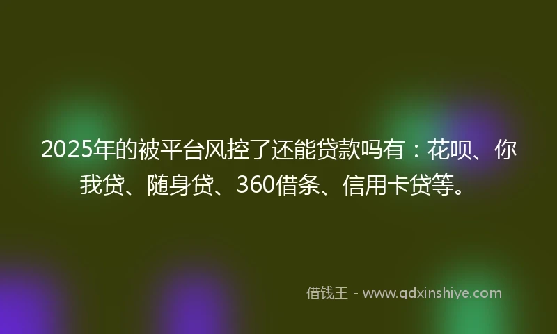 2025年的被平台风控了还能贷款吗有：花呗、你我贷、随身贷、360借条、信用卡贷等。
