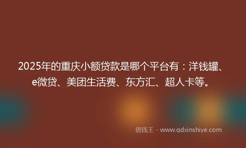 2025年的重庆小额贷款是哪个平台有：洋钱罐、e微贷、美团生活费、东方汇、超人卡等。