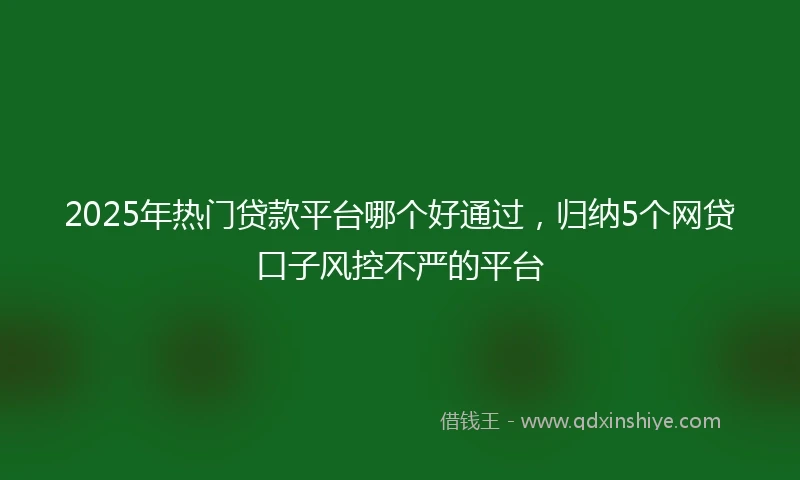 2025年热门贷款平台哪个好通过，归纳5个网贷口子风控不严的平台