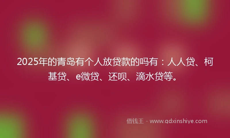 2025年的青岛有个人放贷款的吗有：人人贷、柯基贷、e微贷、还呗、滴水贷等。