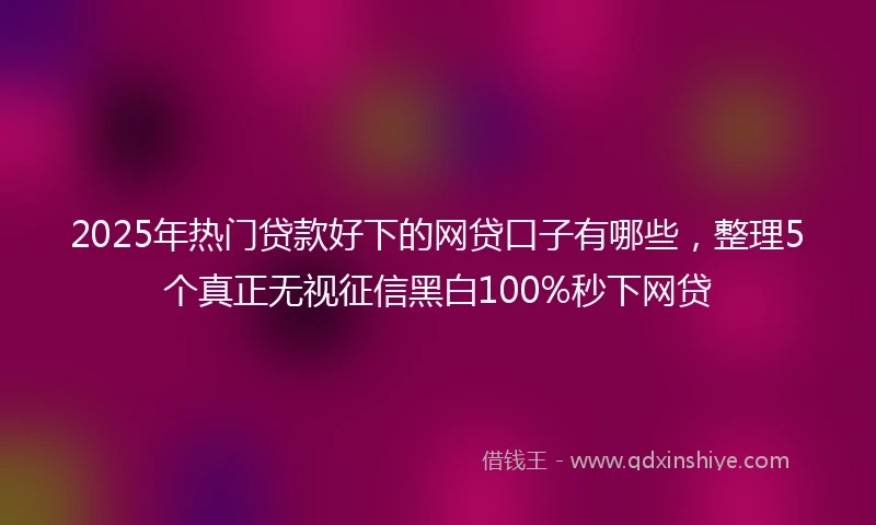 2025年热门贷款好下的网贷口子有哪些，整理5个真正无视征信黑白100%秒下网贷