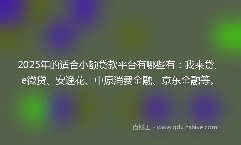 2025年的适合小额贷款平台有哪些有：我来贷、e微贷、安逸花、中原消费金融、京东金融等。