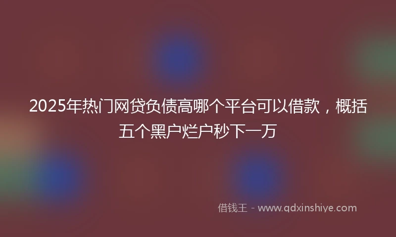2025年热门网贷负债高哪个平台可以借款，概括五个黑户烂户秒下一万