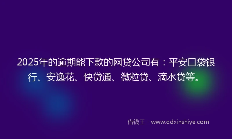 2025年的逾期能下款的网贷公司有：平安口袋银行、安逸花、快贷通、微粒贷、滴水贷等。