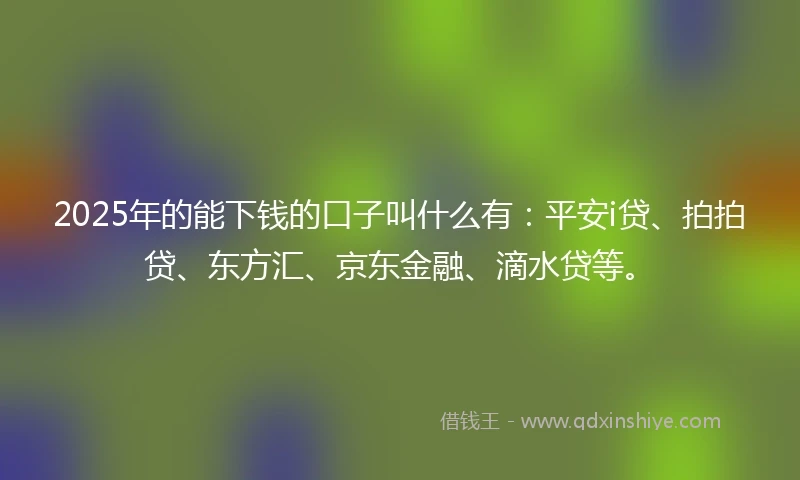 2025年的能下钱的口子叫什么有：平安i贷、拍拍贷、东方汇、京东金融、滴水贷等。