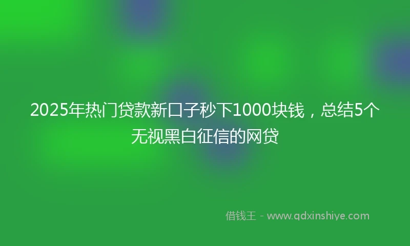 2025年热门贷款新口子秒下1000块钱，总结5个无视黑白征信的网贷