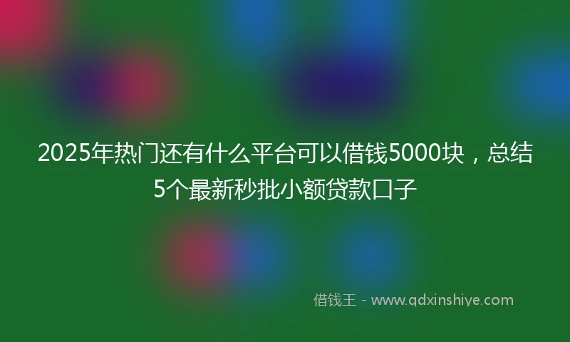 2025年热门还有什么平台可以借钱5000块,总结5个最新秒批小额贷款口子