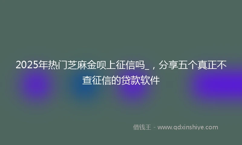 2025年热门芝麻金呗上征信吗_，分享五个真正不查征信的贷款软件