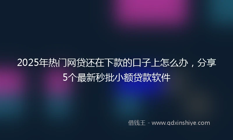 2025年热门网贷还在下款的口子上怎么办，分享5个最新秒批小额贷款软件