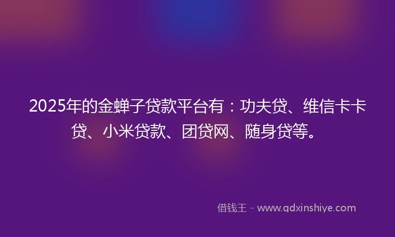 2025年的金蝉子贷款平台有：功夫贷、维信卡卡贷、小米贷款、团贷网、随身贷等。