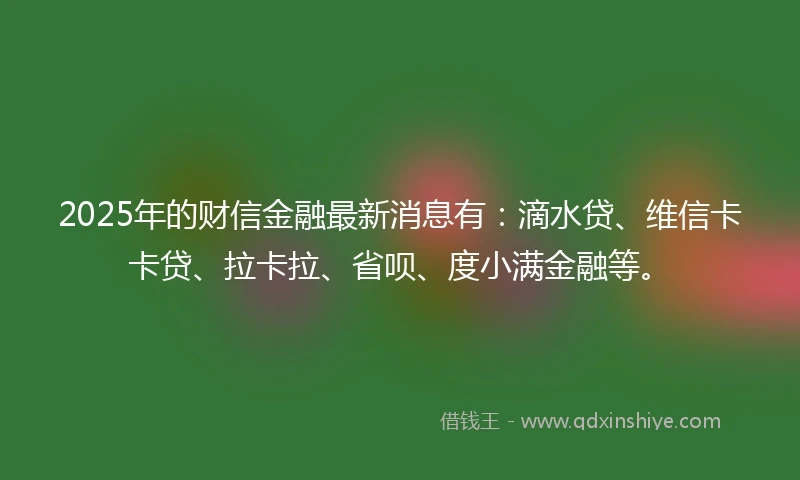 2025年的财信金融最新消息有：滴水贷、维信卡卡贷、拉卡拉、省呗、度小满金融等。