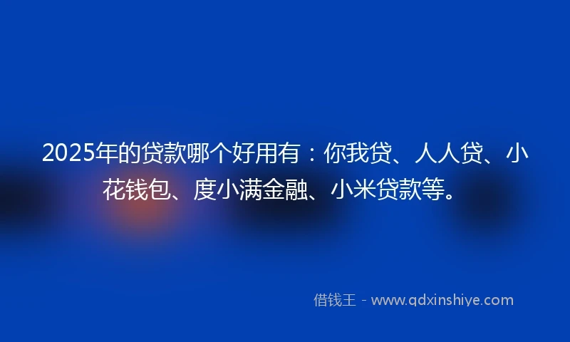 2025年的贷款哪个好用有：你我贷、人人贷、小花钱包、度小满金融、小米贷款等。