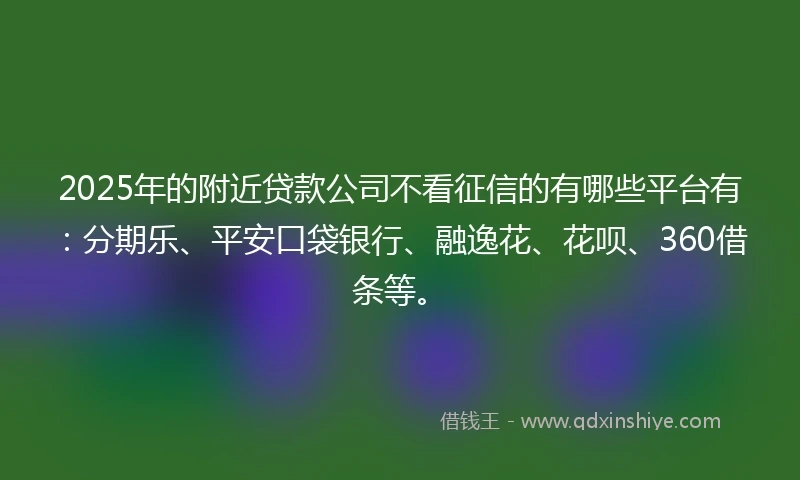 2025年的附近贷款公司不看征信的有哪些平台有：分期乐、平安口袋银行、融逸花、花呗、360借条等。