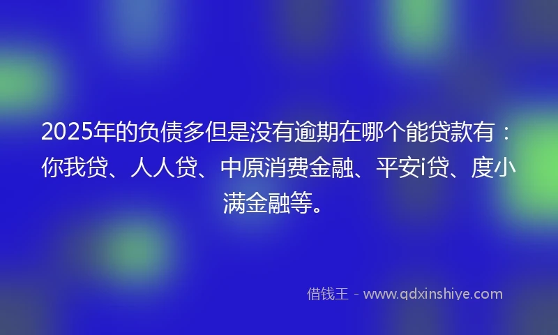 2025年的负债多但是没有逾期在哪个能贷款有：你我贷、人人贷、中原消费金融、平安i贷、度小满金融等。
