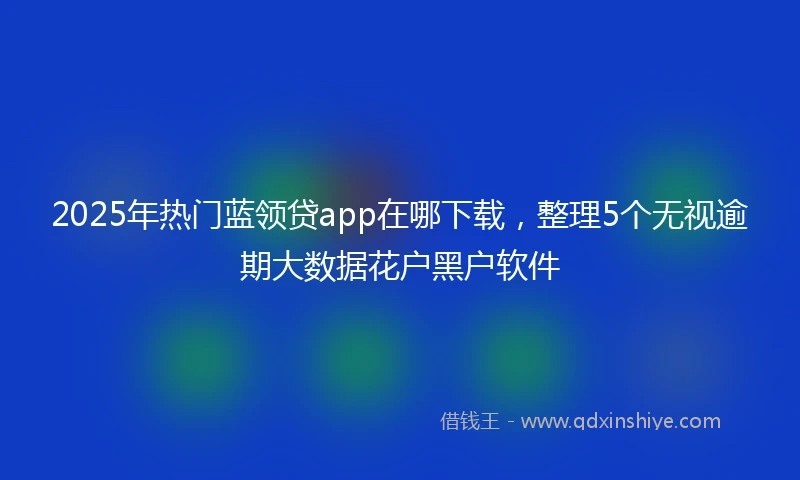 2025年热门蓝领贷app在哪下载，整理5个无视逾期大数据花户黑户软件
