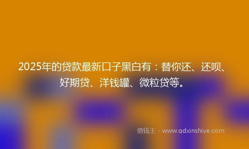 2025年的贷款最新口子黑白有：替你还、还呗、好期贷、洋钱罐、微粒贷等。