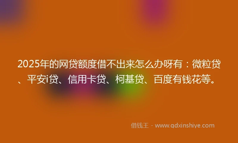 2025年的网贷额度借不出来怎么办呀有：微粒贷、平安i贷、信用卡贷、柯基贷、百度有钱花等。