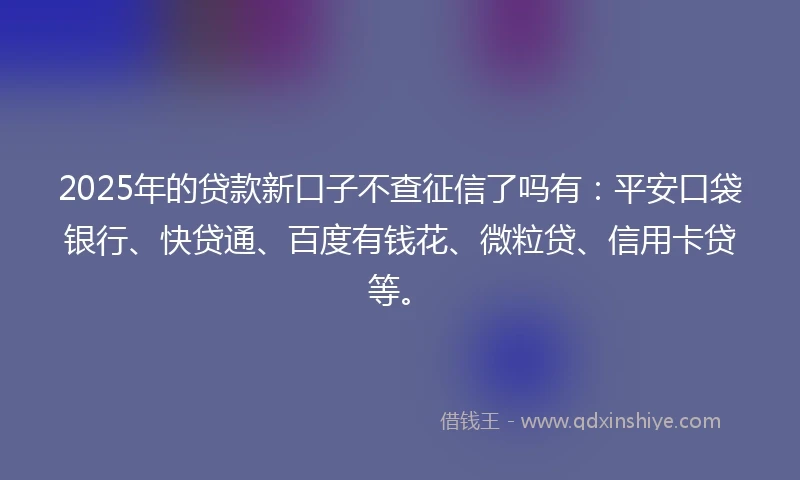 2025年的贷款新口子不查征信了吗有：平安口袋银行、快贷通、百度有钱花、微粒贷、信用卡贷等。