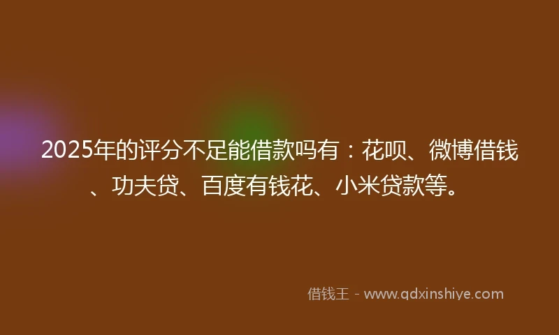 2025年的评分不足能借款吗有:花呗、微博借钱、功夫贷、百度有钱花、小米贷款等。