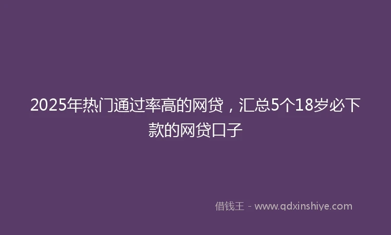 2025年热门通过率高的网贷，汇总5个18岁必下款的网贷口子